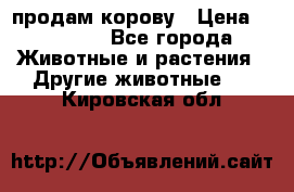 продам корову › Цена ­ 70 000 - Все города Животные и растения » Другие животные   . Кировская обл.